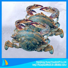 New frozen crab para la venta